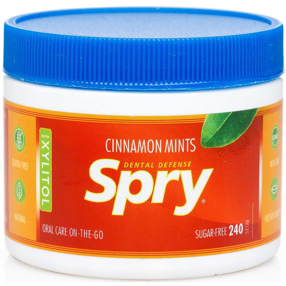 240 Count Sugar Free Cinnamon Hard Candy Xylitol Mints for Fresh Breath