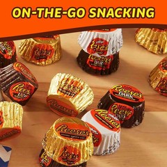 Reese’s PB Cups Miniatures Assortment Bulk Chocolate Halloween Candy (1 Pound)