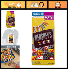 Assorted Miniature Chocolate Candy Bulk Variety Pack – 30 oz Party Treats