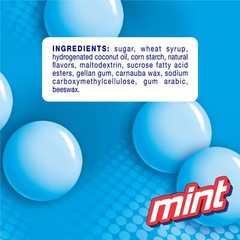 Mentos The Chewy Mint Candy – Mint Flavor 1.32oz Rolls – 15 Rolls