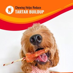Good n Fun Triple Flavor Kabobs Dog Chews 48 oz Rawhide Real Beef Chicken Pork