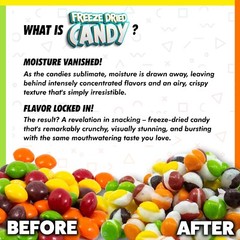 Gummy Bears Freeze Dried Candy Sampler Variety Pack Before and After Gummies