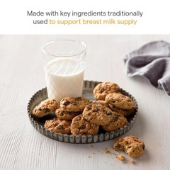 Lactation Cookie Bites Oatmeal Chocolate Chip 10 Pack Support Milk Supply