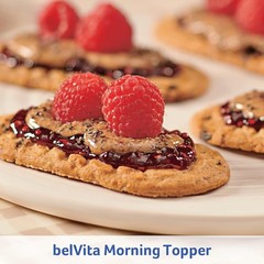 Delicious Breakfast Snacks – 8.8 Ounce (Pack of 12)
