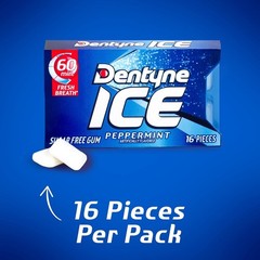 Ice Peppermint 9-Pack Sugar-Free Gum – Convenient Breath Freshener, 144 Count