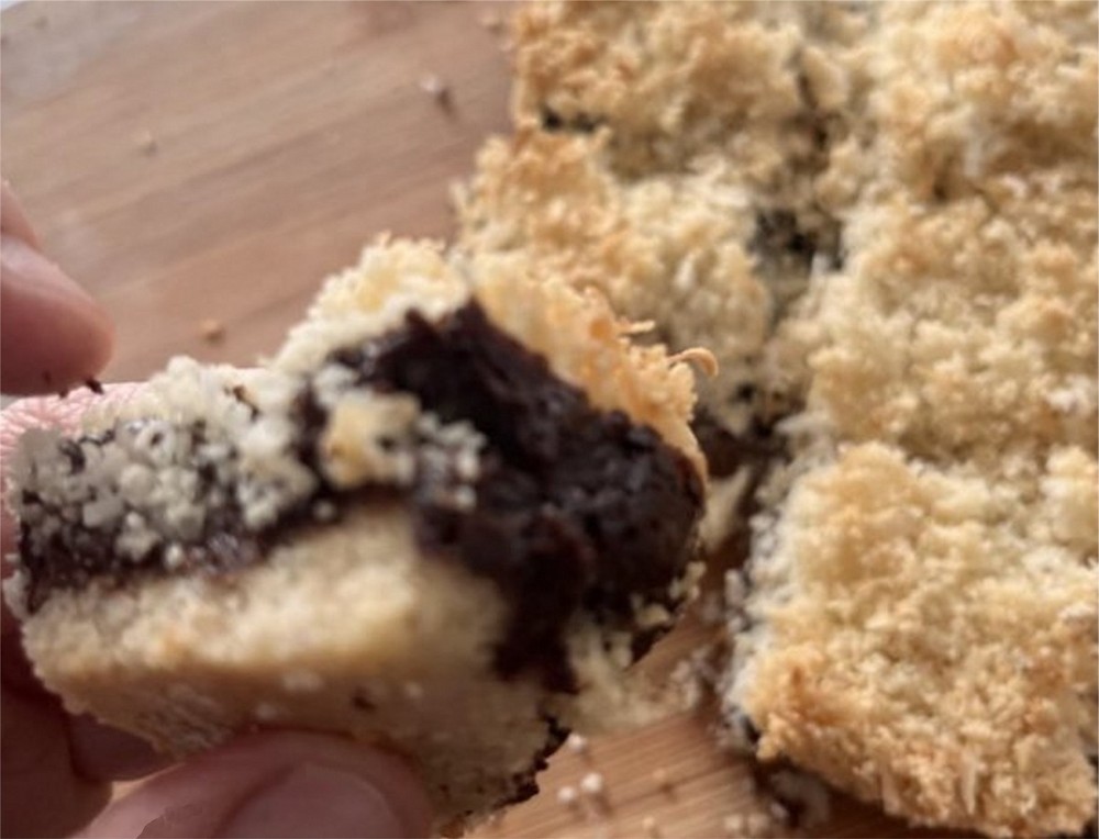 Keto Coconut Fudge Bars * Keto Coconut Fudge Butter Crumb Bars * Diabetic & GF