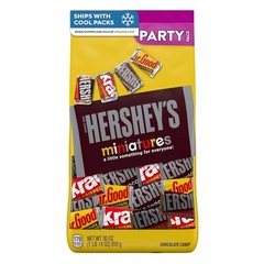 Kosher 30 Oz Miniatures Assorted Chocolate Candy Variety for Sharing & Gifting