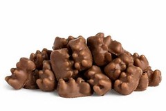 Sweet’s 14 oz CHOCOLATE Covered CINNAMON BEARS Gummi Gummy Candies * BB 6/2025 *