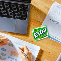 EXTRA Spearmint Sugarfree Chewing Gum, 15 Pieces (Pack of 16)