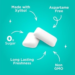 PUR Gum Wintergreen Xylitol Chewing Gum 55 Pieces Pack of 3
