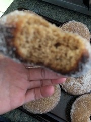 Apple Cider Donuts * Cinnamon Apple Cider Donuts * Fall Favorite *