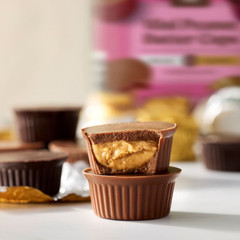 Premium Mini Peanut Butter Cups – Milk & Dark Chocolate Snack Jar, 30 oz