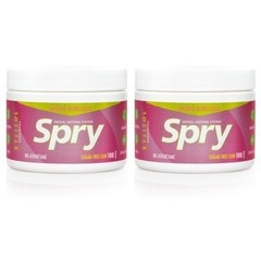 Spry Xylitol Chewing Gum Bubble Gum 100ct 2 Pack Sugar Free Aspartame Free NEW!
