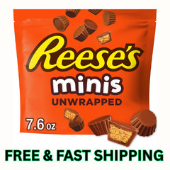 Reese’s Minis Milk Chocolate Unwrapped Peanut Butter Cups Candy, Bag 7.6 oz