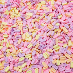 Assorted PEZ Fruit Flavored Mini Tablet Candy ~ 1.5 LB ~ Free Shipping!