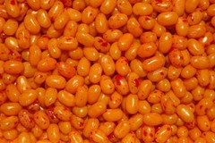 Jelly Belly Jellybean Mix 2.5LB – Assorted Flavor Blast Mix – Free Shipping!