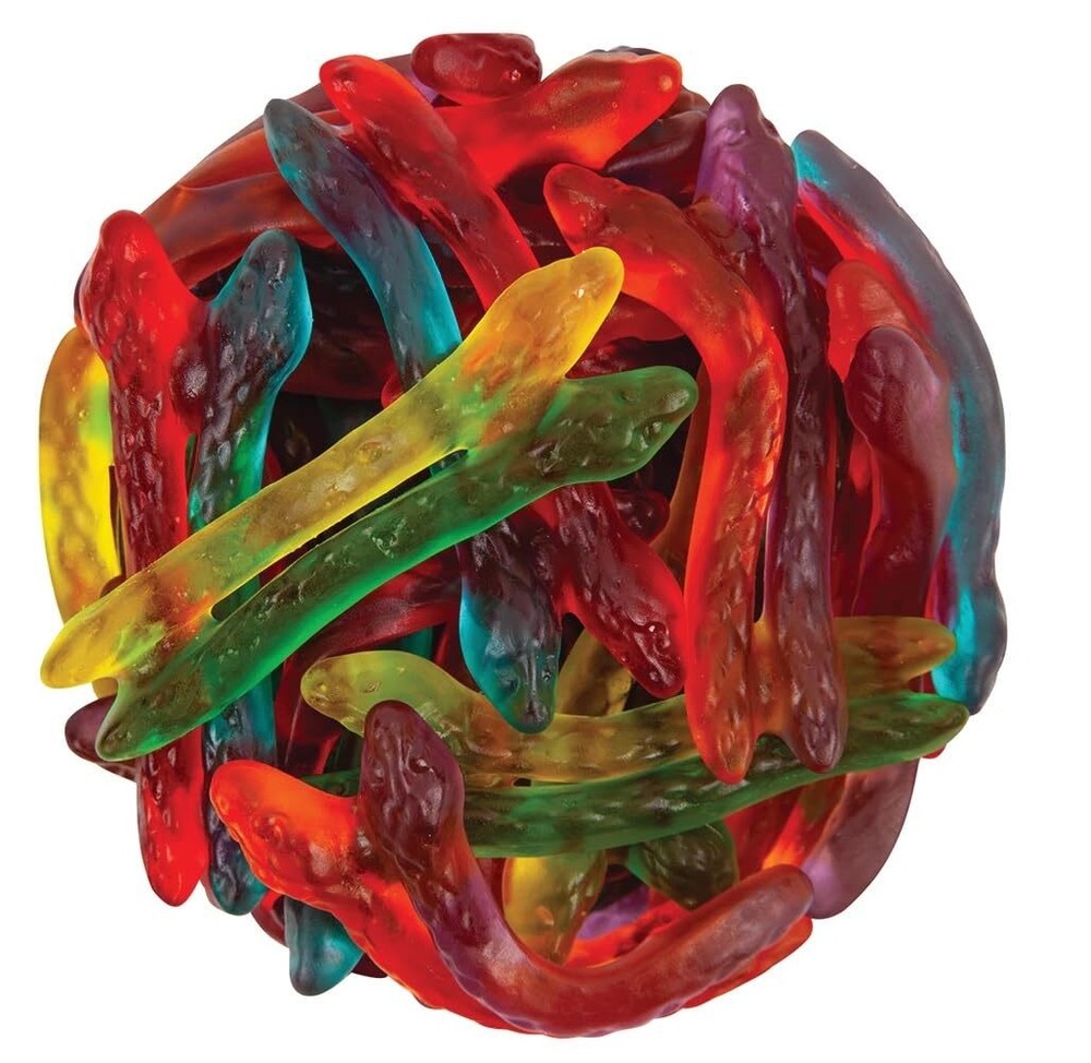 Bayside Candy Twin Snakes Sweet & Sour Gummi Candy – Sour Tangy Gummi Twin