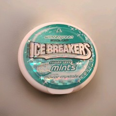 EMPTY Rare Vintage Size .42 Oz ICE BREAKERS Mini Wintergreen Container Pocket