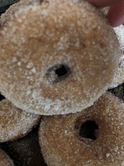 Apple Cider Donuts * Cinnamon Apple Cider Donuts * Fall Favorite *