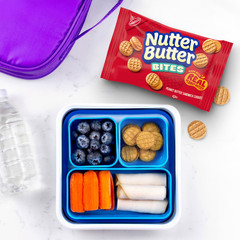 Nabisco Classic Mix Variety Pack, OREO Mini, CHIPS AHOY! Mini, Nutter Butter.,,
