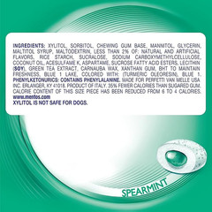 Pure Fresh Winter Edition Sugar-Free Chewing Gum with Xylitol, Spearmint, Holida