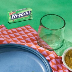 Freedent Peppermint Chewing Gum 15 Count Pack of 12 Individually Wrapped Sticks