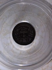 Rare Mew Pokémon Oreo Will send in tupperware
