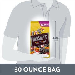 Assorted Mini Chocolate Candy Party Pack – 30 oz, Perfect for Events & Gifts