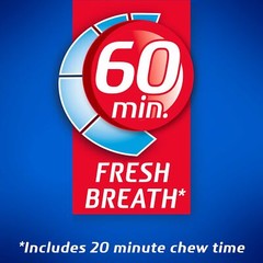 Dentyne Ice Winter Chill Sugar Free Gum 16 Count Pack 144 Total Pieces