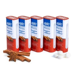 Epic 100% Xylitol Mints – Aspartame Free, 55 Count (Pack of 5), Cinnamon