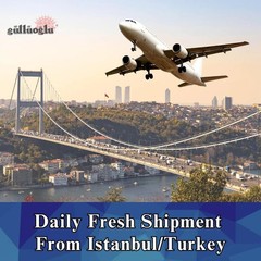 Gulluoglu Assorted Turkish Baklava 25 pieces (1.76lb – 800gr), Metal Box