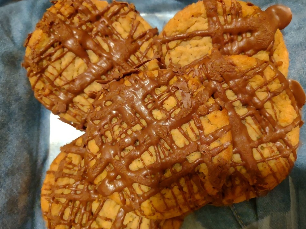 vegan  sugar free chocolate covered dipped peanut butter