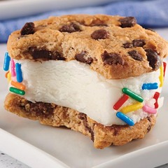 Chocolate Chip Cookies 13 oz Crunchy Kosher Snack Cookies