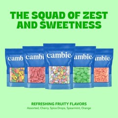 Cambie – Jelly Spearmint Leaves Candy, Sugar Coated 2 Pounds,