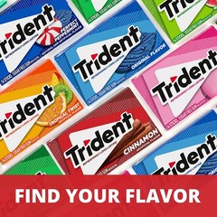Trident Cinnamon Sugar-Free Chewing Gum, 12 14 Count (Pack of 12),