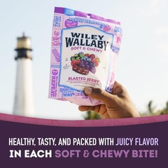 Wiley Wallaby Licorice 10 Ounce 10 Blasted Berry (Pack of 1), Purple