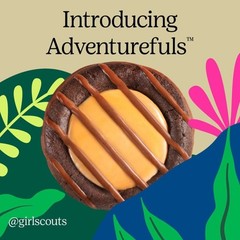 2026 Girl Scout Cookies all varieties Thin mint Samoas Tagalong Exploremore New