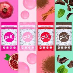 PUR Gum Aspartame Free Chewing Gum 100% Xylitol Natural Flavored Gum Pack of 8