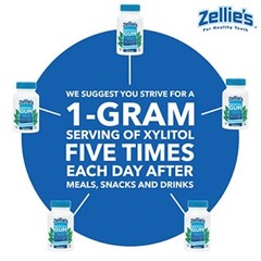 Zellie’s | 100% Xylitol Sugar Free Peppermint Chewing Gum | Peppermint Flavor…