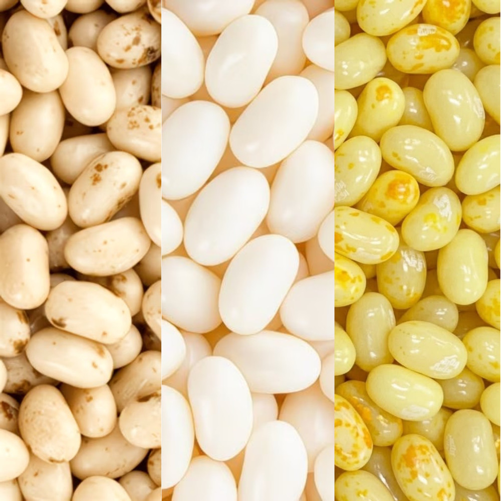Jelly Belly Mix 1.5 / 3LB – Buttered Popcorn, Toasted Marshmallow & Coconut Mix!
