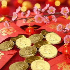 Belgian Milk Chocolate Gold Coins – Smooth, Creamy European 100 Count