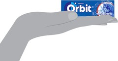 10 Pack WRIGLEY’S ORBIT Winterfresh Chewing Gum Full 100 pellets