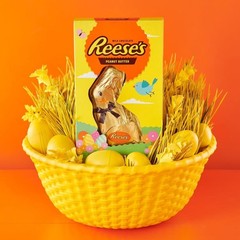 Reese’s Milk Chocolate Peanut Butter Bunny Easter Candy Gift Box 5 Oz Treat