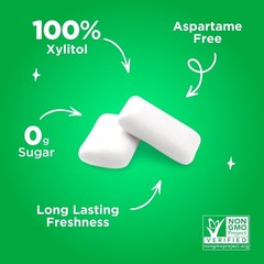 PUR Gum, Aspartame Free Chewing Gum, 100% Xylitol, 55 Pieces (Pack of 3) Best