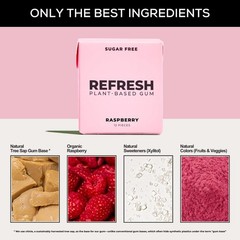Sugar Free Raspberry Chewing Gum Natural Flavors Organic 12 Pack Plastic Fre…