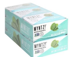 Blast Breathmints, Sugar Free 1.75-Ounce Containers (Wintermynt, 12 Pack)