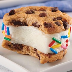 Bulk Cookie Variety Pack: OREO, Golden, CHIPS AHOY! & Nutter Butter – 56 Packs
