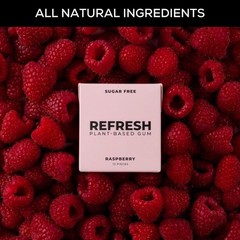 Sugar Free Raspberry Chewing Gum Natural Flavors Organic 12 Pack Plastic Fre…