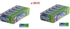 2 BOX * Falim Mint Flavored Sugar Free Gum (5×20 pieces) “FREE EXPRESS SHIPPING”