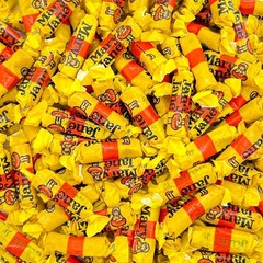 Goetze Caramel Creams & Mary Jane Candy Bulk Mix | 1 LB – 2 LB | Free Shipping!